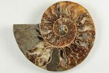 4.55" Cut & Polished, Agatized Ammonite Fossil - Madagascar - #200146-4